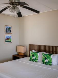 Coral Suites - casitas & apartment on private beach
