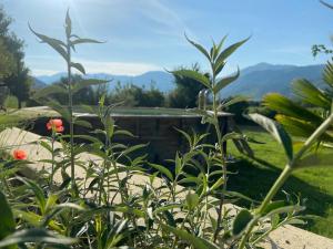 B&B / Chambres d'hotes Chambre d-hotes Les Calades : photos des chambres