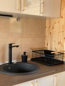 A frame Svetosavska bajka