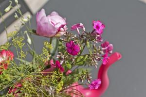 Zondag aan Zee - Ecohuisjes Terschelling