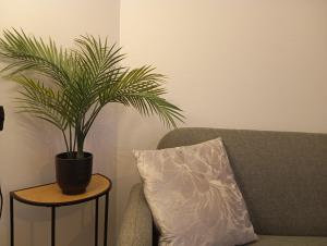 Appartements Les charmes de la Kirneck : photos des chambres