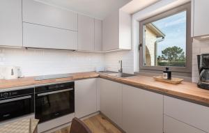 Luxury Villa Branko Istria