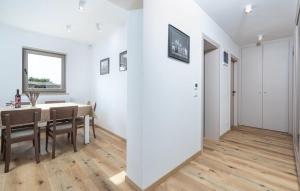 Luxury Villa Branko Istria