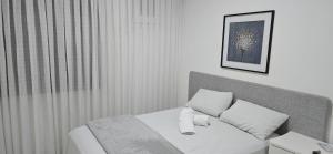 Flat Confortavel no Morumbi