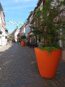 Appartements Les charmes de la Kirneck : photos des chambres