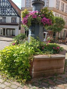 Appartements Les charmes de la Kirneck : photos des chambres
