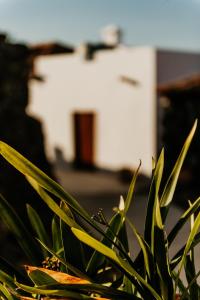 Casa Las Carballas Isabel