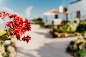 Casa Las Carballas Isabel