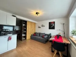 FeWo Zeller Waldblick - Zell am Harmersbach