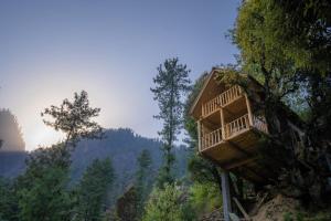 The Picturesque Treehouse
