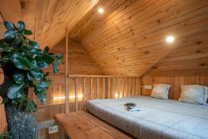 The Picturesque Treehouse