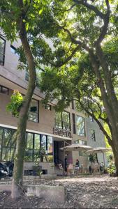 Hotel Zona Verde