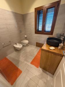 IBIPORÃ terra bonita img11