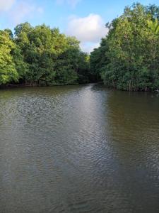 Hostal torres del caribe