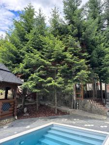 VIP HOUSES Карпати Мигово