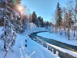 Appartements Studio pour 4 avec terrasse plein pied, coin montagne, vue montagne & nature a Praz sur Arly : photos des chambres