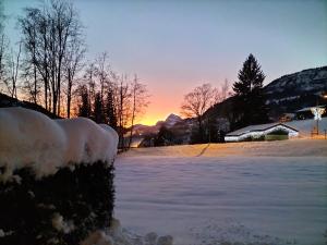 Appartements Studio pour 4 avec terrasse plein pied, coin montagne, vue montagne & nature a Praz sur Arly : Appartement - Rez-de-Chaussée