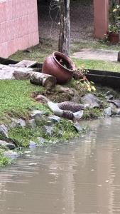 Sítio a 5 min da Villa Germânica