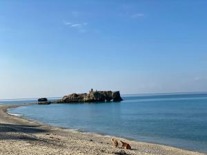 Grande appartamento in casale ristrutturato