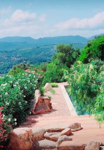 B&B / Chambres d'hotes NOUVEAU VISTA CORSICA vue a couper le souffle : photos des chambres