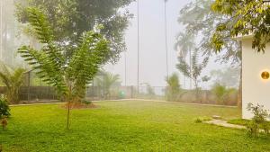 Hill View Heights Wayanad