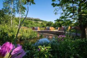 Lakeside Pods - pet free