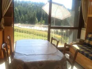 Studio cabine 33m² pieds des pistes, Animaux admis, Balcon sud - FR-1-515-79