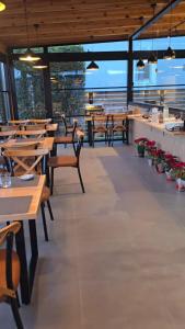 Villa Guesthouse Albion