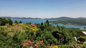 Guesthouse Mitsiopoulou - 尼奥楚里翁