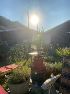 Casa Vegana 4,5 Zimmer 8Pl, 3 Badezimmer