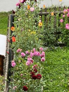 Casa Vegana 4,5 Zimmer 8Pl, 3 Badezimmer