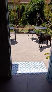 Casita frente mar playas del sur