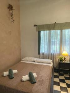 Madreselva Hostel