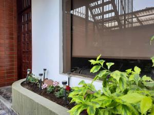 Minidepartamento La Molina Junin 1