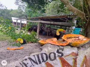 CASADOS RANCH - Pacaytún