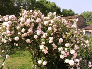 Hotels La Pierrerie : photos des chambres