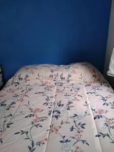 Casa 1 perto do Centro e UFLA - Macaia