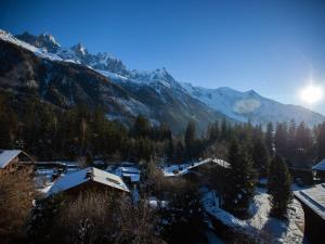 Studio Charmant avec Vue Mont Blanc, Parking et Animaux Admis - FR-1-517-35