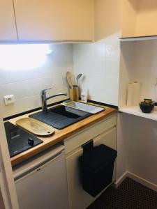 Appartements Grand studio Paris Expo Pte de Versailles Paris XV : photos des chambres