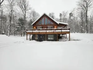 Blissful Bear - Old Forge