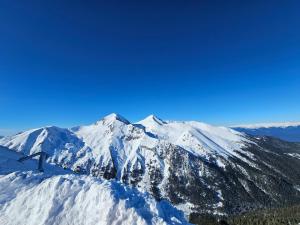 Triple room with Balcony Transalpina Ski Resort - TRI1