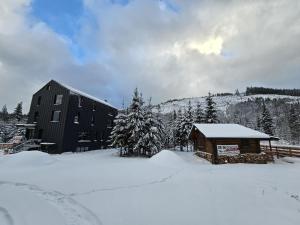 Triple room with Balcony Transalpina Ski Resort - TRI1