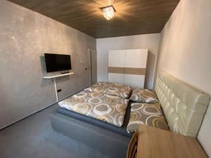 Apartmán Orlické hory