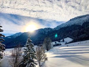 Chalet am Breitenberg Appartement CB 03