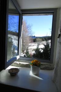 B&B / Chambres d'hotes Bastides Du Mezenc : Chambre Double