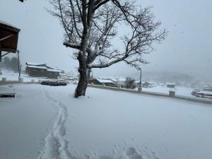 Villa on the Edge of the Forest