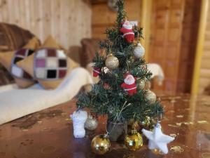 Holiday cottages with pool