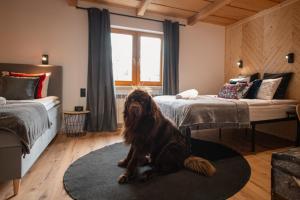 Apartament Stryszek Alpinistyczny