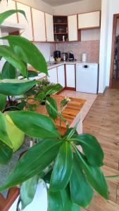 Apartman Val - Blizu Jaruna i centra, s parkingom i terasom