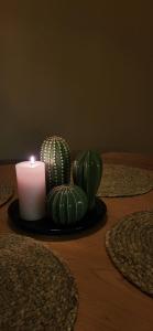 Great apartment in Vantaa close to the airport, with Sauna!